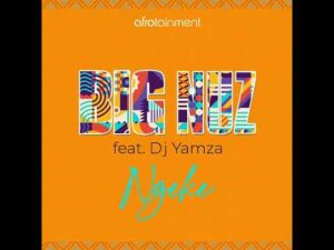 Amatycooler – Umsebenzi