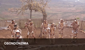 Inkos'yamagcokama - Osondonzima