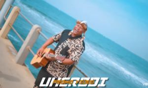 herodi maskandi song