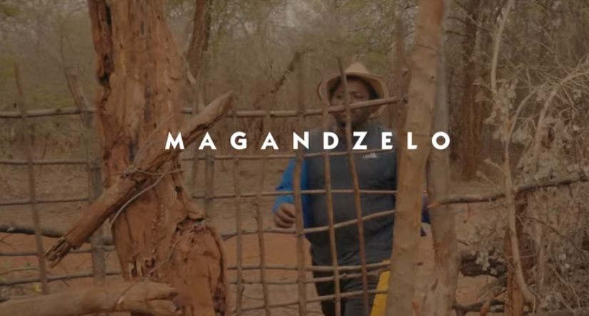 Dee Michaels - Magandzelo Mp3 Download