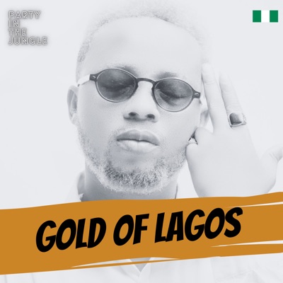 Wizkid - Lagos Vibes (Mixed)