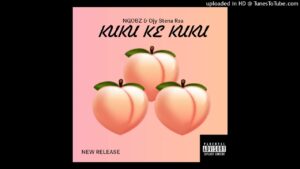 Ngobz – Kuku ke Kuku To Mellow & Sleazy,Myztro,ShaunMusiQ &ears Ft. Djy Stena Rsa Mp3 download