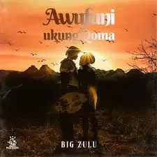 Big Zulu – Awufuni Ukung’qoma