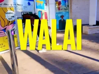 Vudumane – WALAI AMAPIANO DANCE