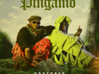 Dope Boys Pingamo Album Zip Download