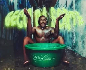 Scró Que Cuia Beco da Sorte Album Zip Download