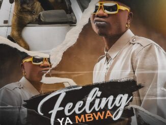 Selemanyo – Feeling Ya Mbwa